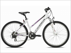 Lady mountain-bike